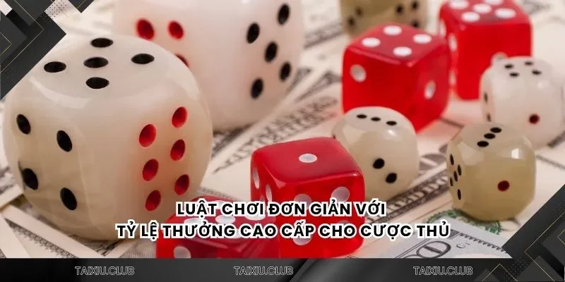 Luật chơi đơn giản với tỷ lệ thưởng cao cấp cho cược thủ