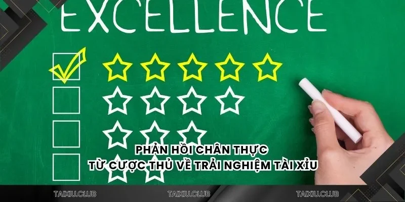Phản hồi chân thực từ cược thủ về trải nghiệm tài xỉu