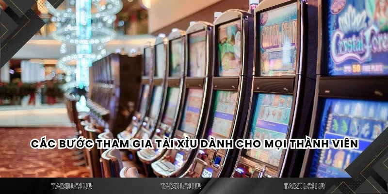 Các bước tham gia tài xỉu dành cho mọi thành viên