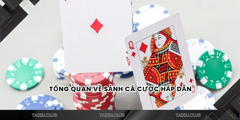 Tổng quan về sảnh cá cược hấp dẫn