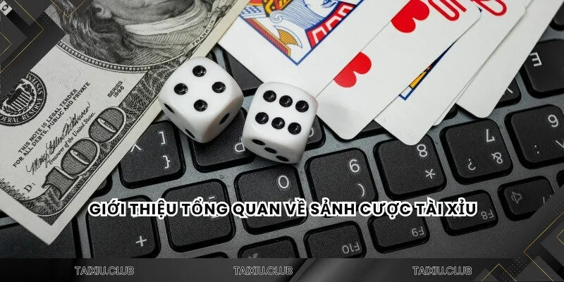 Giới thiệu tổng quan về sảnh cược tài xỉu