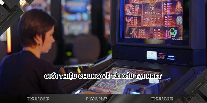 Giới thiệu chung về tài xỉu Nbet