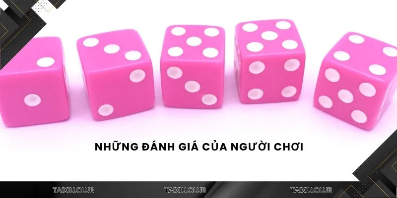 Những đánh giá của người chơi