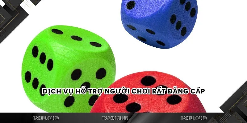 Dịch vụ hỗ trợ người chơi rất đẳng cấp