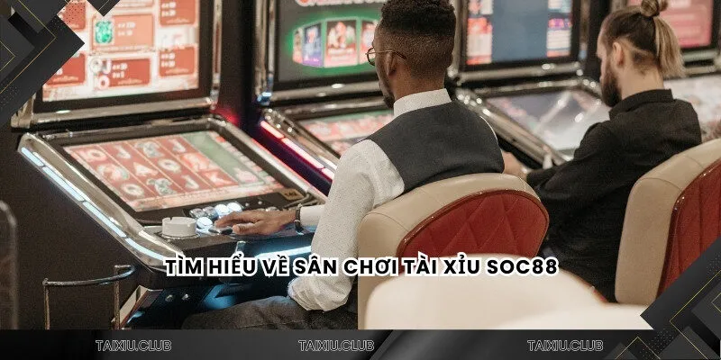 Tìm hiểu về sân chơi tài xỉu Soc88