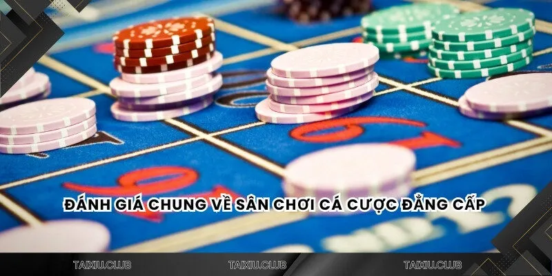 Đánh giá chung về sân chơi cá cược đẳng cấp 