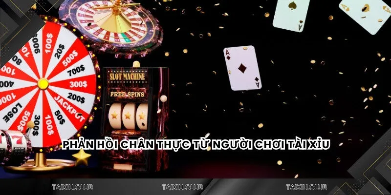 Phản hồi chân thực từ người chơi tài xỉu