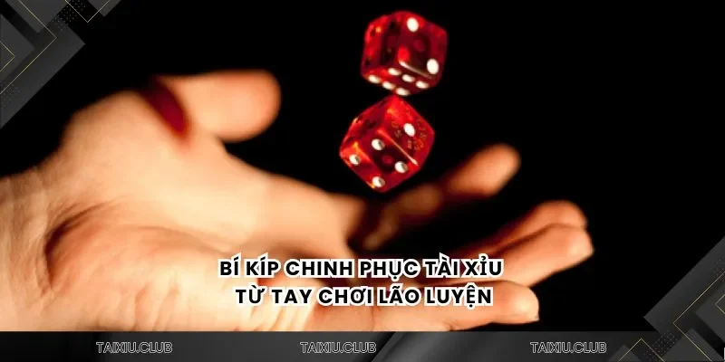 Nhà cái uy tín có đa dạng hình thức chơi tài xỉu