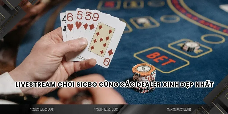 Livestream chơi sicbo cùng các dealer xinh đẹp nhất