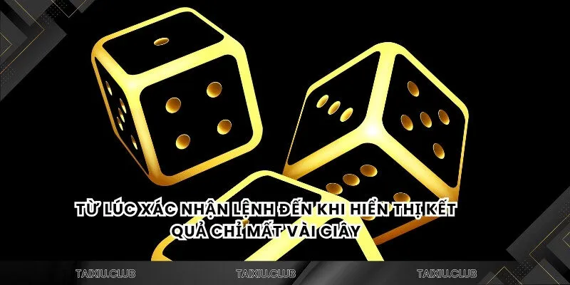 Từ lúc xác nhận lệnh đến khi hiển thị kết quả chỉ mất vài giây