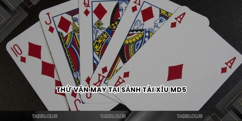 Thử vận may tại sảnh tài xỉu MD5
