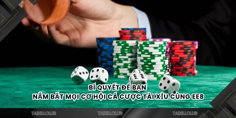 Bí quyết để bạn nắm bắt mọi cơ hội cá cược tài xỉu cùng Ee88