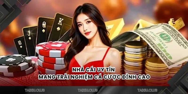 Nhà cái uy tín mang trải nghiệm cá cược đỉnh cao