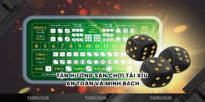 Tận hưởng sân chơi tài xỉu an toàn và minh bạch