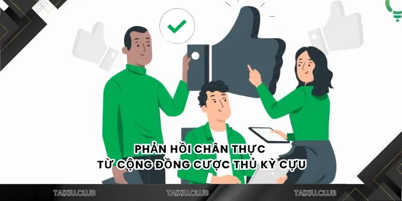 Phản hồi chân thực từ cộng đồng cược thủ kỳ cựu