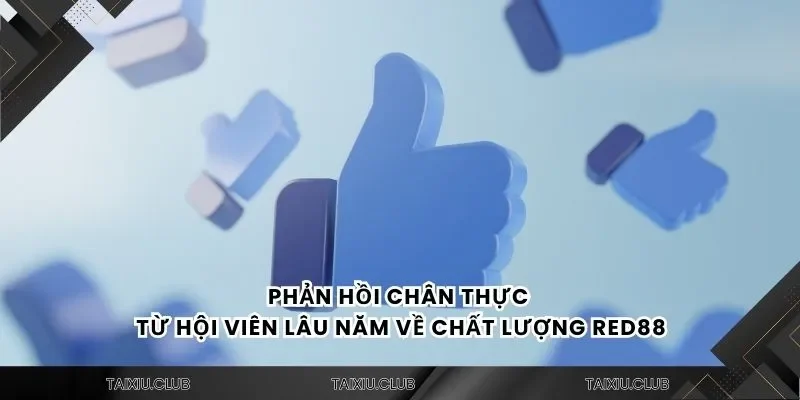 Phản hồi chân thực từ hội viên lâu năm về chất lượng tài xỉu Red88