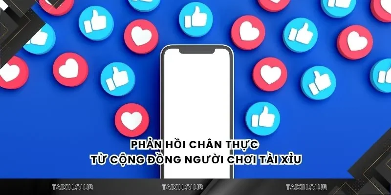 Phản hồi chân thực từ cộng đồng người chơi tài xỉu