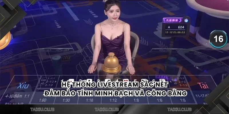 Hệ thống livestream sắc nét đảm bảo tính minh bạch và công bằng