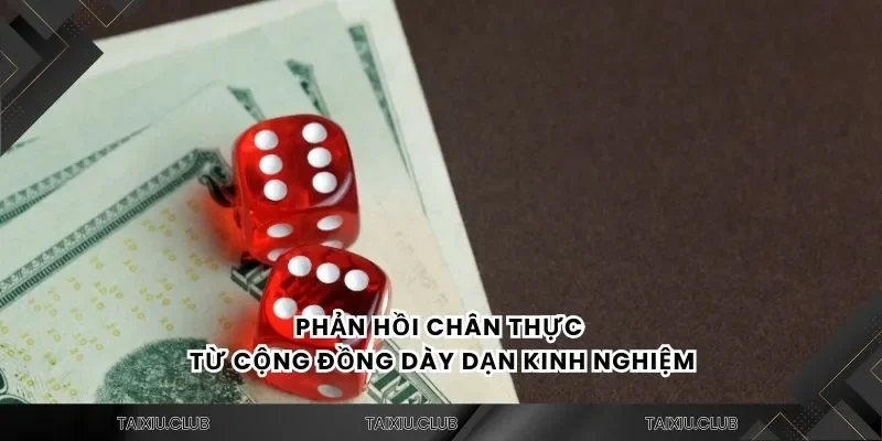 Phản hồi chân thực từ cộng đồng dày dạn kinh nghiệm