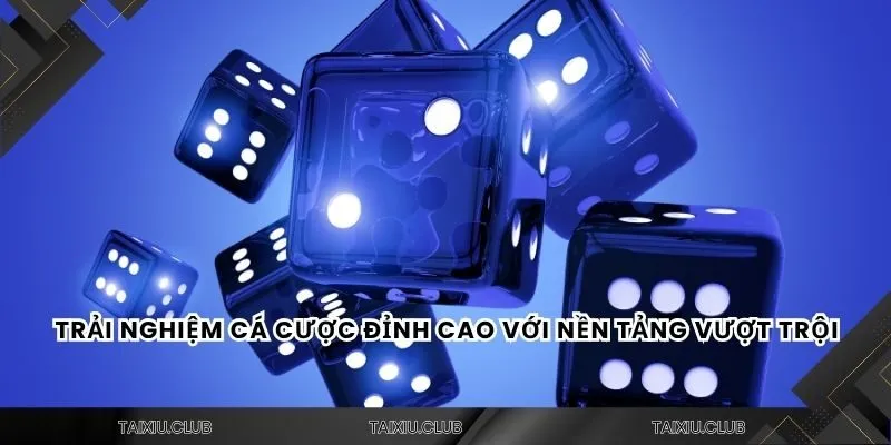 Trải nghiệm cá cược đỉnh cao với nền tảng vượt trội