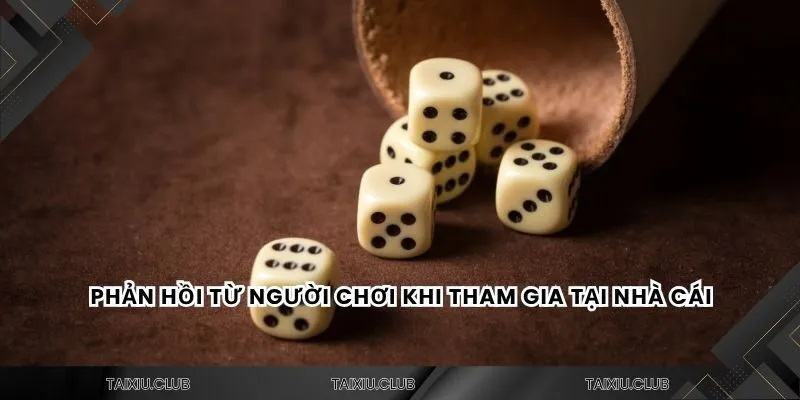 Phản hồi từ người chơi khi tham gia tại nhà cái