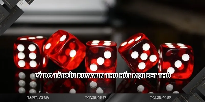 Lý do tài xỉu kuwwin thu hút mọi bet thủ