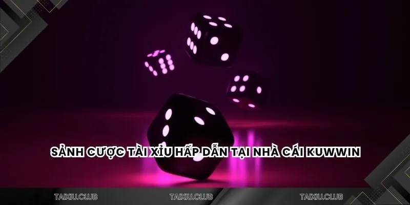 Sảnh Live – Trải nghiệm chân thực, trực tiếp 24/7