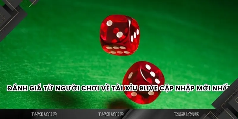 Đánh giá từ người chơi về tài xỉu 9live cập nhập mới nhất