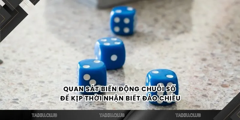 Quan sát biến động chuỗi số để kịp thời nhận biết đảo chiều