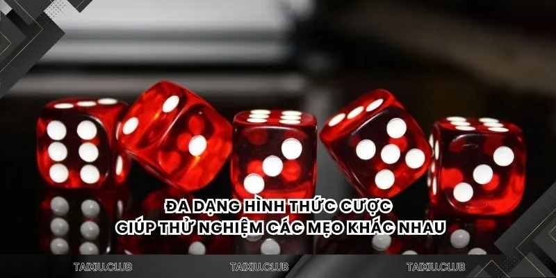 Đa dạng hình thức cược giúp thử nghiệm các mẹo khác nhau