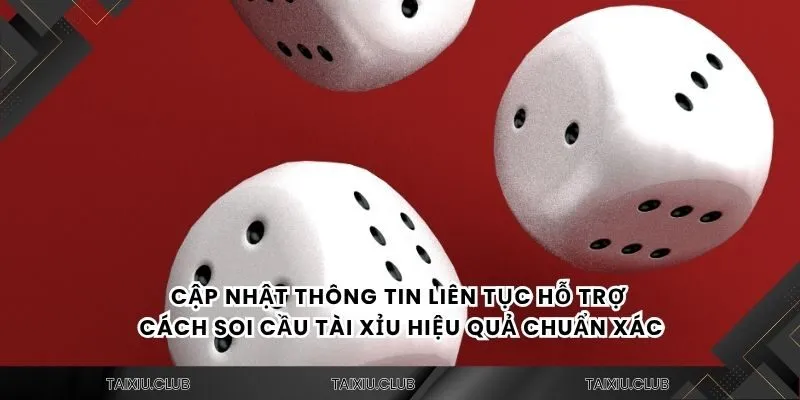 Cập nhật thông tin liên tục hỗ trợ cách soi cầu tài xỉu hiệu quả chuẩn xác