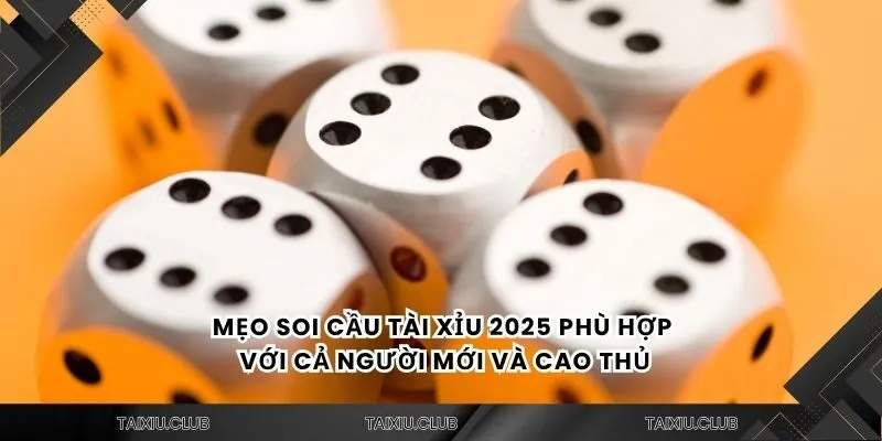 Mẹo soi cầu tài xỉu 2025 phù hợp với cả người mới và cao thủ