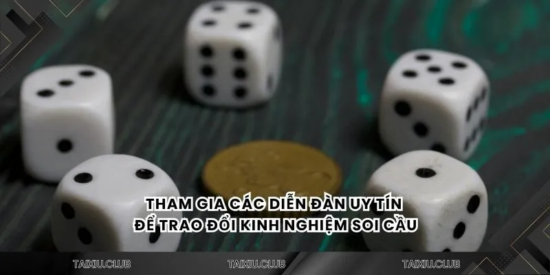 Tham gia các diễn đàn uy tín để trao đổi kinh nghiệm soi cầu