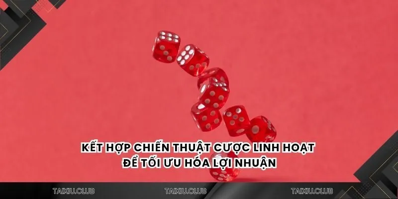 Kết hợp chiến thuật cược linh hoạt để tối ưu hóa lợi nhuận