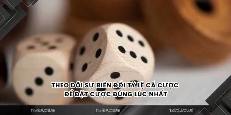 Theo dõi sự biến đổi tỷ lệ cá cược để đặt cược đúng lúc nhất