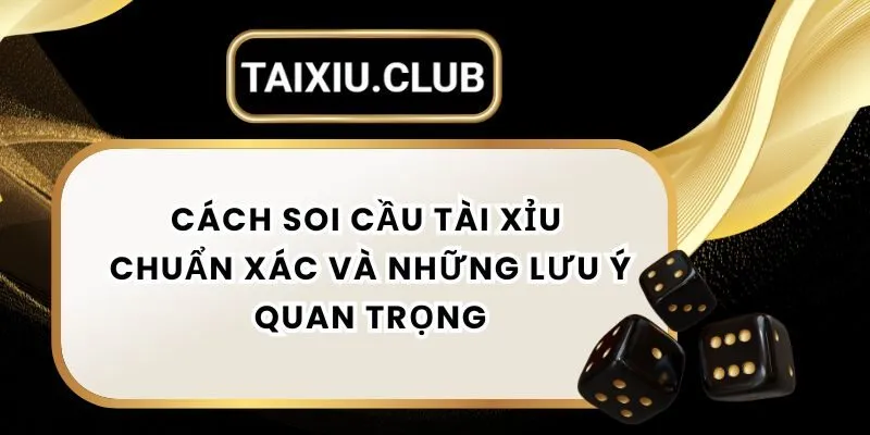 Cách Soi Cầu Tài Xỉu Chuẩn Xác Và Những Lưu Ý Quan Trọng