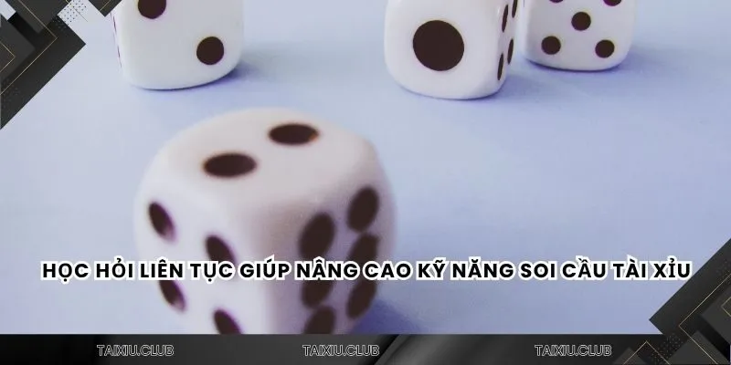 Học hỏi liên tục giúp nâng cao kỹ năng soi cầu tài xỉu