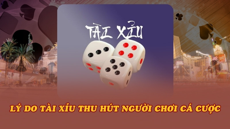 Lý do Tài Xỉu thu hút người chơi cá cược
