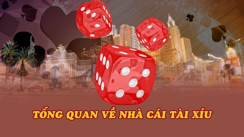 Tổng quan về nhà cái tài xỉu